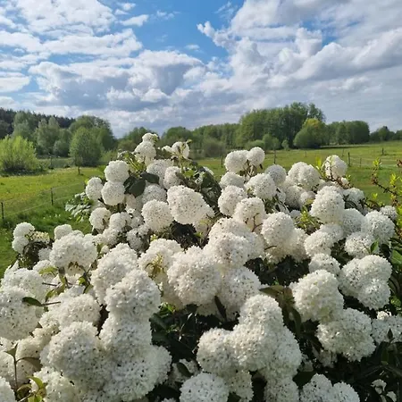 Woodhouse Spreewiesen Prázdninový dům