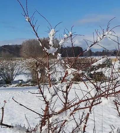 Prázdninový dům Woodhouse Spreewiesen