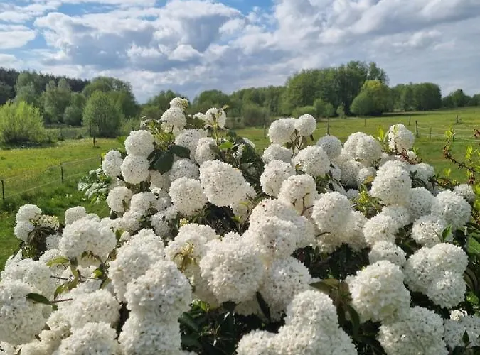 Woodhouse Spreewiesen Ferienhaus