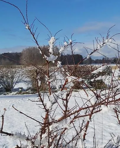 Ferienhaus Woodhouse Spreewiesen