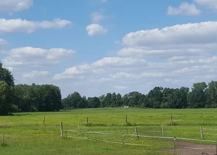 Woodhouse Spreewiesen Ferienhaus