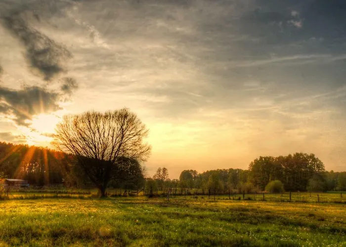 Woodhouse Spreewiesen Ferienhaus Burig